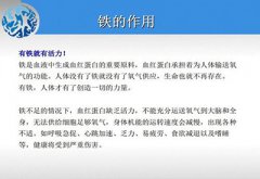 微量元素分析仪生产厂家补铁时容易产生的错误观点