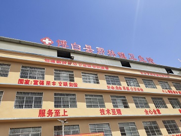恭喜GK微量元素测定仪品牌在广西壮族博白县那林镇卫生院安装使用中