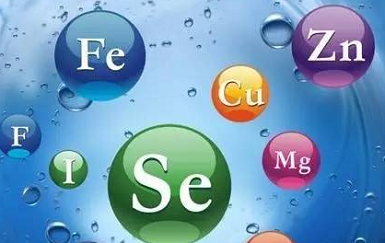 微量元素测试仪品牌微量元素铁和锌的重要性